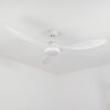 Ventilateur de plafond Follseland LED Blanc, 1 lumière, Télécommandes