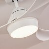 Ventilateur de plafond Follseland LED Blanc, 1 lumière, Télécommandes