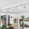 Gesteira Plafonnier, Spot de plafond Chrome, Blanc, 6 lumières