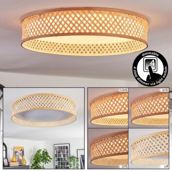 Barroco Plafonnier LED Écru, Blanc, 1 lumière