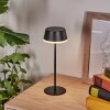 Romdrup Lampe de table d'extérieur LED Noir, 1 lumière