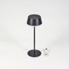 Romdrup Lampe de table d'extérieur, Lampe à poser LED Noir, 1 lumière