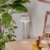 Romdrup Lampe de table d'extérieur, Lampe à poser LED Blanc, 1 lumière