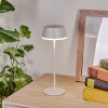 Romdrup Lampe de table d'extérieur, Lampe à poser LED Blanc, 1 lumière