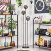 Gastor Lampadaire Noir, 3 lumières