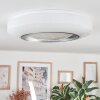 Dayen Plafonnier LED Argenté, Blanc, 1 lumière, Télécommandes