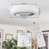 Dayen Plafonnier LED Argenté, Blanc, 1 lumière, Télécommandes