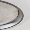 Dayen Plafonnier LED Argenté, Blanc, 1 lumière, Télécommandes