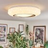 Dayen Plafonnier LED Argenté, Blanc, 1 lumière, Télécommandes