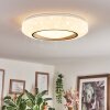 Dayen Plafonnier LED Argenté, Blanc, 1 lumière, Télécommandes