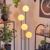 Gastor Lampadaire Bois foncé, Noir, 4 lumières