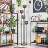 Koyoto Lampadaire Bois foncé, Noir, 4 lumières