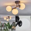 Chehalis Plafonnier, Boule lumineuse Blanc, 3 lumières