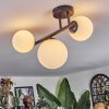 Chehalis Plafonnier, Boule lumineuse Blanc, 3 lumières