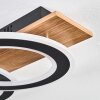 Besperia Plafonnier LED Couleur bois, Noir, 1 lumière