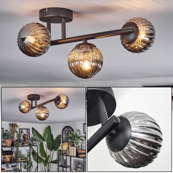 Chehalis Plafonnier, Boule lumineuse Fumé, 3 lumières