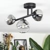 Chehalis Plafonnier, Boule lumineuse Clair, Fumé, 3 lumières