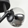 Chehalis Plafonnier, Boule lumineuse Clair, Fumé, 3 lumières