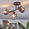 Chehalis Plafonnier, Boule lumineuse Clair, Fumé, 3 lumières