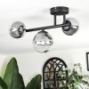 Chehalis Plafonnier, Boule lumineuse Clair, Fumé, 3 lumières