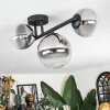 Chehalis Plafonnier, Boule lumineuse Clair, Fumé, 3 lumières