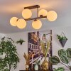 Gastor Plafonnier, Boule lumineuse Blanc, 6 lumières