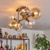 Chehalis Plafonnier, Boule lumineuse Ambre, Clair, Fumé, 8 lumières