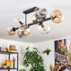 Chehalis Plafonnier, Boule lumineuse Ambre, Clair, Fumé, 8 lumières