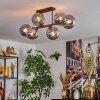 Gastor Plafonnier, Boule lumineuse Fumé, 6 lumières