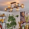 Gastor Plafonnier, Boule lumineuse Ambre, Clair, Fumé, 8 lumières
