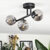 Chehalis Plafonnier, Boule lumineuse Fumé, 3 lumières
