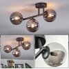 Chehalis Plafonnier, Boule lumineuse Fumé, 3 lumières