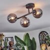 Chehalis Plafonnier, Boule lumineuse Fumé, 3 lumières