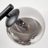 Chehalis Plafonnier, Boule lumineuse Fumé, 3 lumières