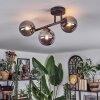 Chehalis Plafonnier, Boule lumineuse Fumé, 3 lumières
