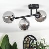 Chehalis Plafonnier, Boule lumineuse Fumé, 3 lumières