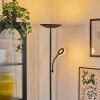 Dillingby Lampadaire LED Noir, 2 lumières