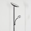 Dillingby Lampadaire LED Noir, 2 lumières