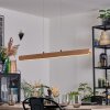 Fugelsta Suspension, Suspension LED Noir, 1 lumière