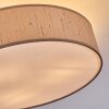 Foggia Plafonnier Nickel mat, 3 lumières
