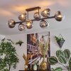 Gastor Plafonnier, Boule lumineuse Chrome, Clair, Fumé, 8 lumières