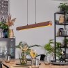Fugelsta Suspension, Suspension LED Noir, 1 lumière
