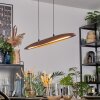 Fugelsta Suspension, Suspension LED Noir, 1 lumière