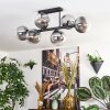 Gastor Plafonnier, Boule lumineuse Clair, Fumé, 6 lumières