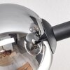 Gastor Plafonnier, Boule lumineuse Clair, Fumé, 6 lumières