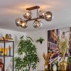 Gastor Plafonnier, Boule lumineuse Clair, Fumé, 6 lumières