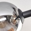 Gastor Plafonnier, Boule lumineuse Ambre, Clair, Fumé, 6 lumières