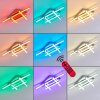 Plafonnier Eriz LED Nickel mat, 4 lumières, Télécommandes, Changeur de couleurs