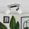 Plafonnier  Cerejeiras LED Chrome, 2 lumières, Télécommandes, Changeur de couleurs