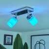 Plafonnier  Cerejeiras LED Chrome, 2 lumières, Télécommandes, Changeur de couleurs